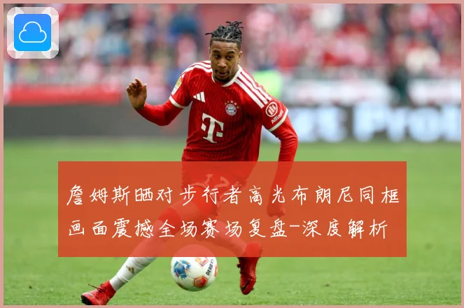 詹姆斯晒对步行者高光布朗尼同框画面震撼全场赛场复盘-深度解析